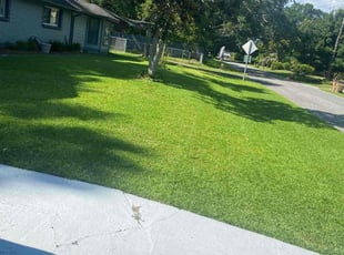 Arriayne C.'s Lawn Mowing service result