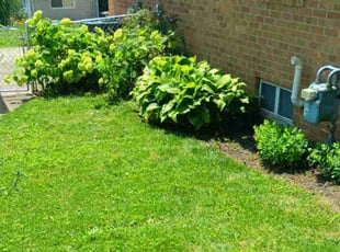 Aliya H.'s Lawn Mowing service result