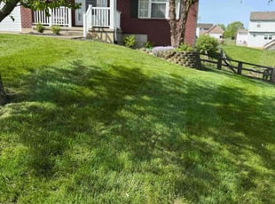 Deborah R.'s Lawn Mowing Service service result
