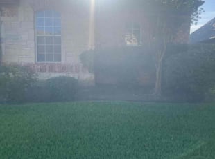 Bush Trimming by Gabriel Piedra for Porcia G. in Flower Mound, TX