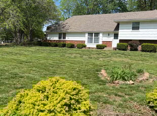 Hilary V.'s Lawn Service service result