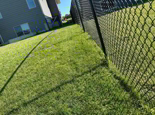 Chris M.'s Lawn Mowing Service service result