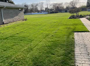 Denise T.'s Lawn Service service result