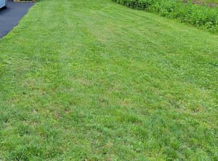 Kirk J.'s Lawn Mowing Service service result
