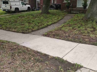 Leaf Removal by Timothy Blakley for Terrance S. in Detroit, MI