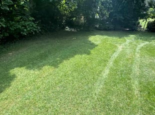 Kavin V.'s Lawn Service service result