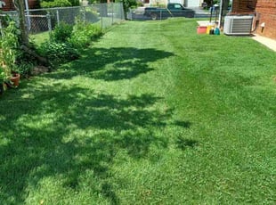 Sue M.'s Lawn Maintenance service result