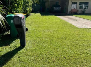 Marlene K.'s Lawn Mowing service result