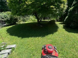 Stephen J.'s Lawn Maintenance service result