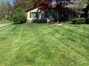 Dan H.'s Lawn Maintenance service result