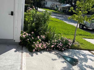 Bush Trimming by Paz Silva for Kristina R. in Houston, TX