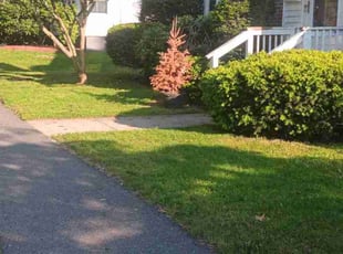 Leaf Removal by Edwin Madera for Kristin L. in Worcester, MA