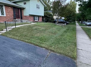Michelle S.'s Lawn Service service result
