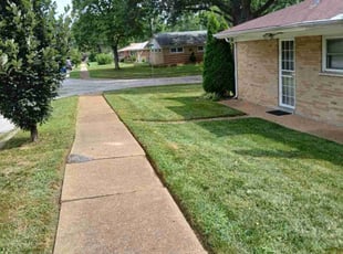 Hosie W.'s Lawn Mowing service result