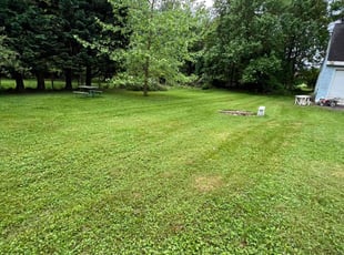 James F.'s Grass Cutting service result