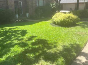 Vincent C.'s Lawn Care service result