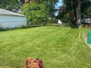 Carl A.'s Lawn Care service result