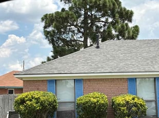 Bush Trimming by Antonio Rhodes for Robert e. in Augusta, GA