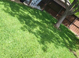 Ruby P.'s Lawn Care service result