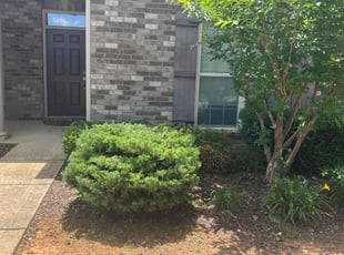 Bush Trimming by Maggie Prinkey for Brian B. in Madison, AL