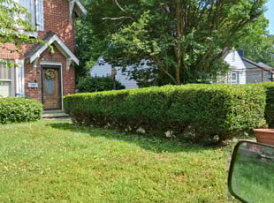 Bush Trimming by Travis Carroll for RAGSDALE, J. in Burlington, NC