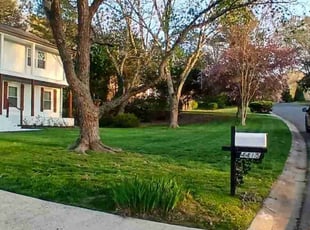 Alexis W.'s Yard Cutting service result