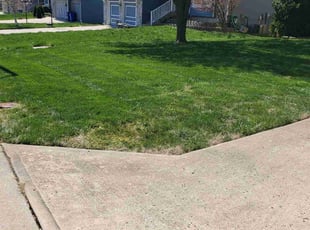 Karolyn C.'s Grass Cutting service result