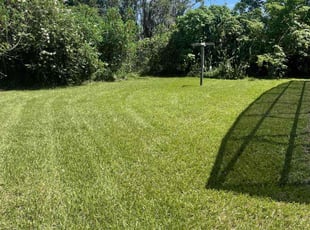 Mariana C.'s Lawn Service service result