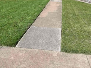 Sharon J.'s Lawn Maintenance service result