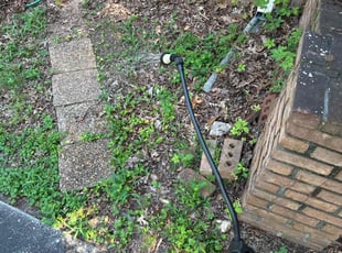 Weeding by Fred Thompson for Ayana C. in Decatur, GA