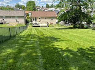 Dawn H.'s Lawn Service service result