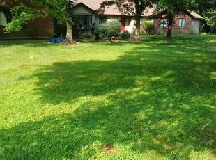 Weeding by Alexander Molina for Chad M. in Windsor, CT