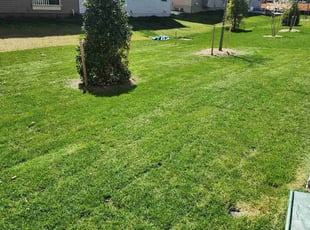 Rhonda M.'s Grass Cutting service result