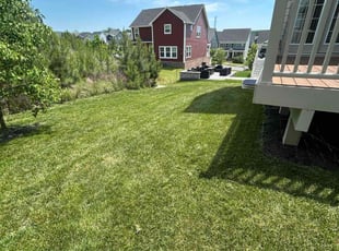 Dwight B.'s Lawn Maintenance service result