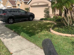 Bush Trimming by Jay Jesse for Allison P. in Orlando, FL