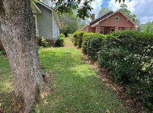 Jan G.'s Lawn Mowing service result