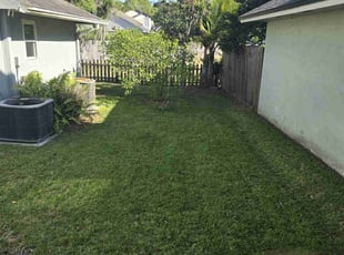 Mike P.'s Lawn Service service result