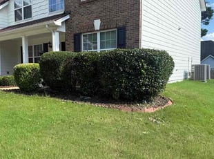 Bush Trimming by Abdiel Carral for Rich N. in Villa Rica, GA