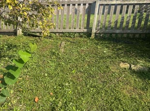 Weeding by Shawn Byers for Elliott B. in Blue Springs, MO