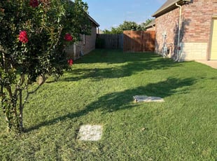 Rex C.'s Lawn Care service result