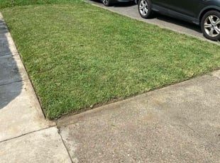 Diane J.'s Lawn Care service result