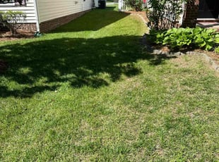 Chuck B.'s Lawn Care service result