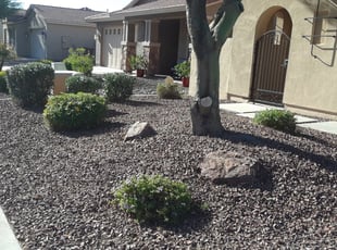 Bush Trimming by Joseph Slay for Christine L. in Peoria, AZ