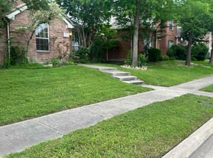Satirah G.'s Lawn Care service result