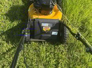 Weeding by David Scheafnocker for Patrick H. in Fort Myers Beach, FL