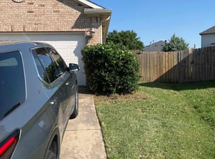 Bush Trimming by Blayke Elder for Josh S. in Fort Worth, TX