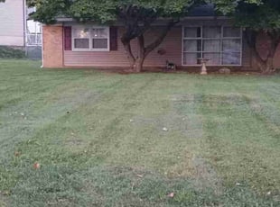 Robert L.'s Lawn Mowing service result
