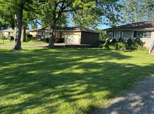 Brandon W.'s Lawn Care service result