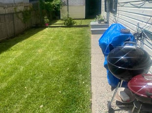 Moises E.'s Grass Cutting service result