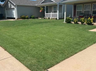 anthony t.'s Lawn Mowing Service service result